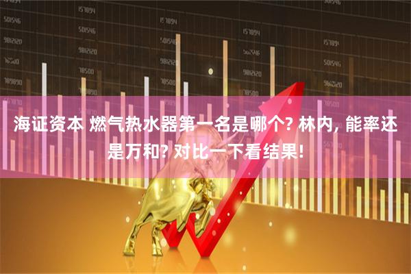 海证资本 燃气热水器第一名是哪个? 林内, 能率还是万和? 对比一下看结果!
